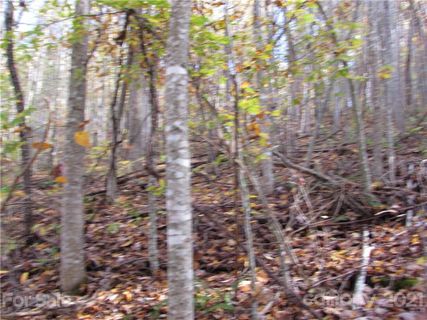 E 8 Red Wolf Run None active home in Red Wolf Run, Mars Hill, NC