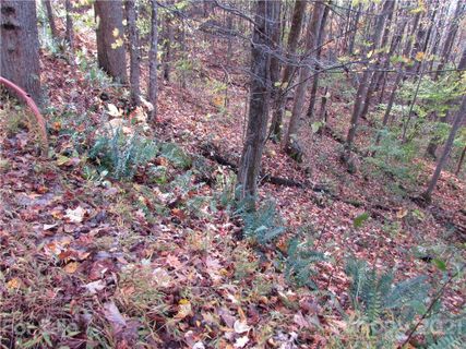 E 15 Red Wolf Run None active home in Red Wolf Run, Mars Hill, NC