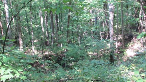 E 17 Red Wolf Run None active home in Red Wolf Run, Mars Hill, NC