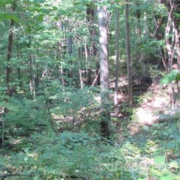 E 17 Red Wolf Run None