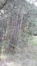 0 Maple Street sold home in Norwood, SC