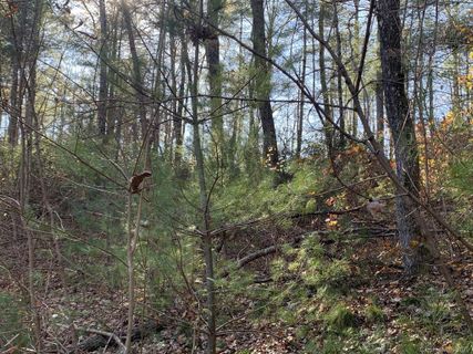 Lot 83 Mountain Home Trail