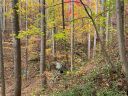 000 Grey Rock Parkway 37/38 sold home in Lake Lure, SC