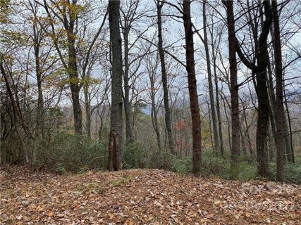 Tba Cardinal Road 302 sold home in Quail Ridge, Lake Lure, NC