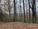Tba Cardinal Road 302 sold home in Lake Lure, SC