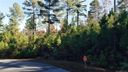 1489 Lake Vista Drive sold home in Connelly Springs, SC