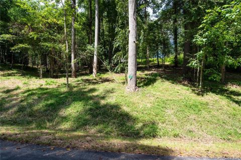 113 Poplar Green Way 10 sold home in Poplar Green Way, Asheville, NC
