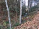 3 Coyote Hollow Road sold home in Waynesville, SC