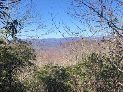 Tract 71 Whitetail Trail