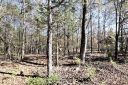 6 7 Pimlico Lane 6&7 sold home in Waxhaw, SC