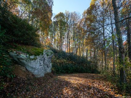 9 Flora Rose Trail Tract 1
