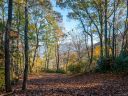 238 Grandiflora Path 7C sold home in Asheville, SC