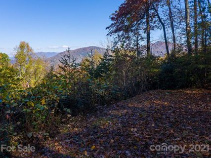 19 Flora Rose Trail sold home in Rosy Hills, Asheville, NC