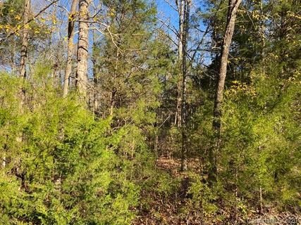 0 Lannie Lane Lot 18 sold home in McFadden Estates, Rock Hill, SC