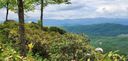 8 Sahalee Trail sold home in Hendersonville, SC