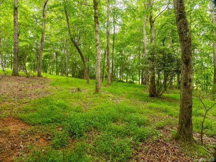 Lot 5 Turkey Ridge Road