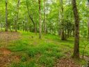 Lot 5 Turkey Ridge Road sold home in Fletcher, SC