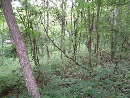 955 Brandywine Road 411