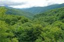 37 Bobtail Drive sold home in Waynesville, SC