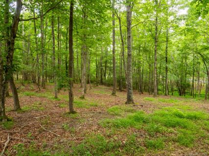 Lot 3 Turkey Ridge Road