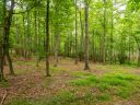 Lot 3 Turkey Ridge Road sold home in Fletcher, SC
