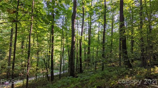 99999 Sand Branch Road sold home in Treehaven, Black Mountain, NC
