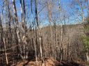 999 Cross Ridge Road 132 sold home in Rutherfordton, SC