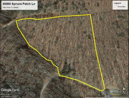 99999 Spruce Patch Lane