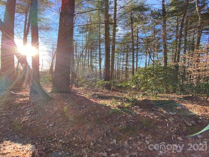 L 4 Canvasback Court