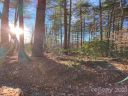 L 4 Canvasback Court sold home in Brevard, SC