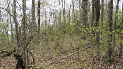 Lot 13 Walker Ridge Road sold home in Alpine Mountain, Little Switzerland, NC