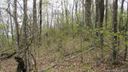 Lot 13 Walker Ridge Road sold home in Little Switzerland, SC