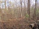 Tbd Burge Mountain Road sold home in Hendersonville, SC