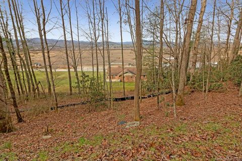 Lot 4 R Middlemount Road 4-R sold home in Middlemount, Pisgah Forest, NC