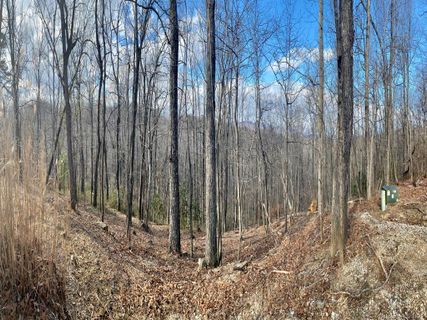 Lot 44 Table Rock Road sold home in Rixhaven, Saluda, NC