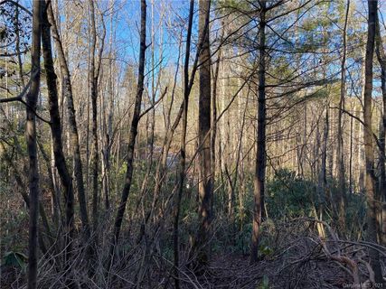 Lot 306 Old Spring Road