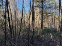 Lot 306 Old Spring Road sold home in Brevard, SC