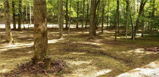 2067 Line Runner Ridge Road A-12A