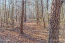 00 Lyndsey Brooke Court Phase V lots 80,81,82,83 sold home in Lincolnton, SC