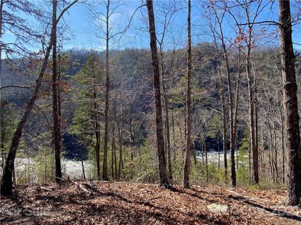 4155 French Broad Parkway 61