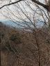 86 Bartrams Walk Drive 14 sold home in Asheville, SC