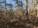 00 Arrowhead Trail 83 sold home in Columbus, SC