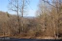 41 View Ridge Parkway sold home in Leicester, SC