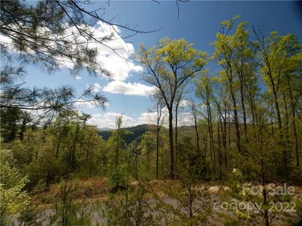 Lot 133 Bear River Lodge Trail