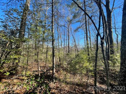 Tbd Mountain Home Trail 84