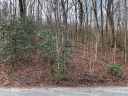 Lot 615 616 Melrose Mountain Road 615 & 616 sold home in Tryon, SC