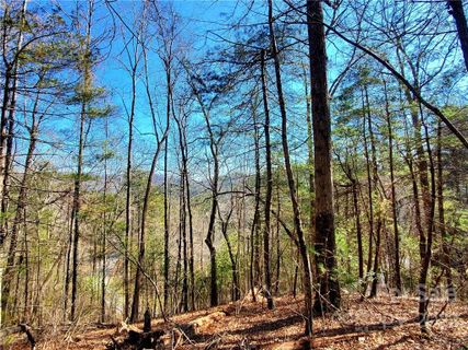 Lot 5 Big Hungry Road sold home in Terrapin Hollow, Flat Rock, NC