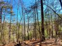 Lot 5 Big Hungry Road sold home in Flat Rock, SC