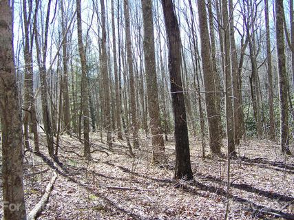 Lot 19 Quail Cove Road
