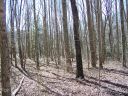 Lot 19 Quail Cove Road sold home in Clyde, SC